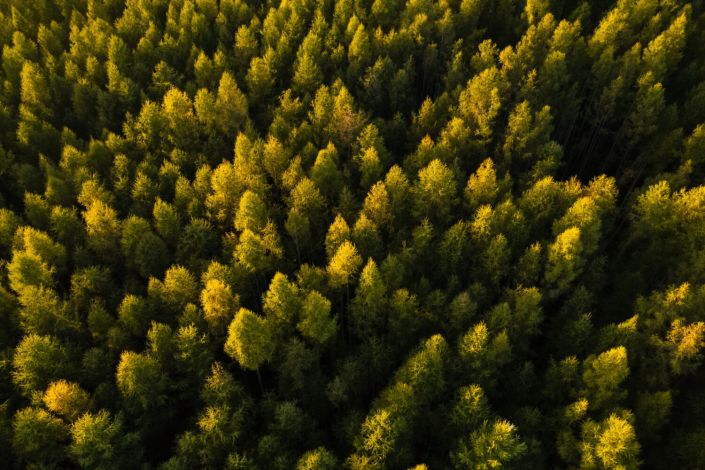 Les solutions ISB labellisées Bois de France