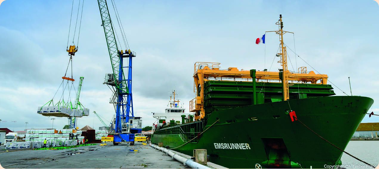 Hausse du prix du bois : décryptage avec Ludovic Routard, Directeur des Achats chez ISB