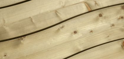 Les Bois du Nord : une ressource durable et stratégique pour demain
